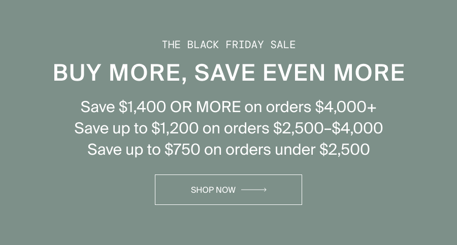 The Black Friday Sale