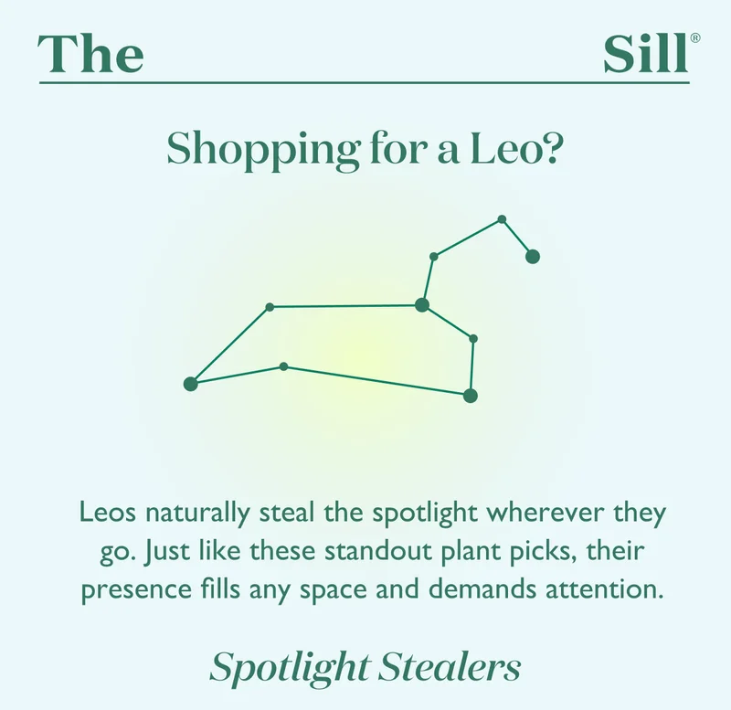 Shopping for a Leo? Shop these Spotlight Stealers!