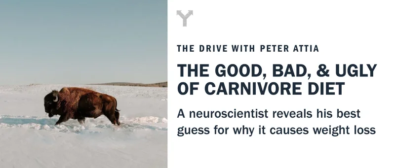 the pros and cons of carnivore diet