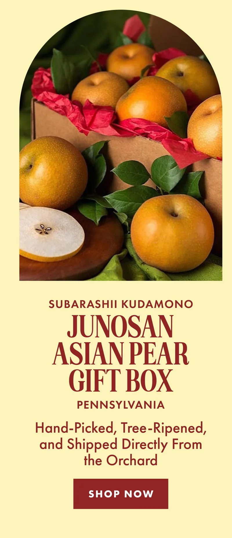 Subarashii Kudamono Asian Pears Subarashii Kudamono Asian Pears