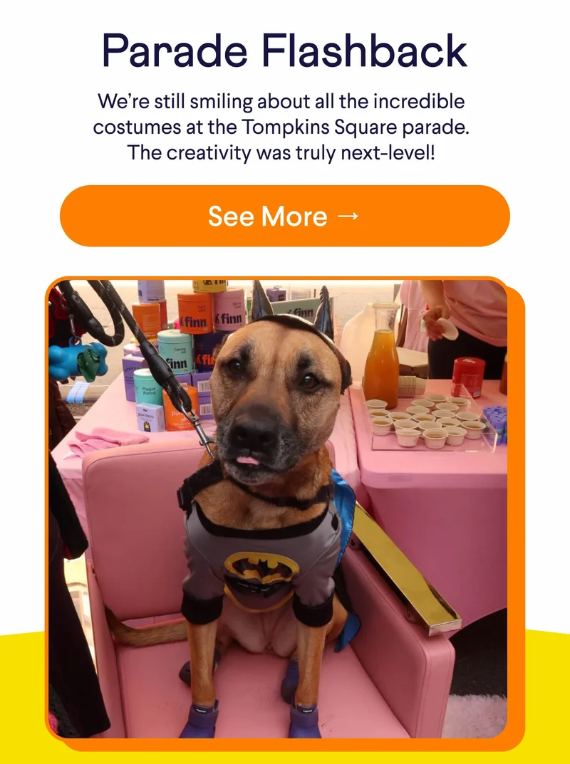 Text: Parade Flashback We’re still smiling about all the incredible costumes at the Tompkins Square parade. The creativity was truly next-level! CTA: See More → Photo: Mixed breed dog in batman costume in front of Finn's wellness booth