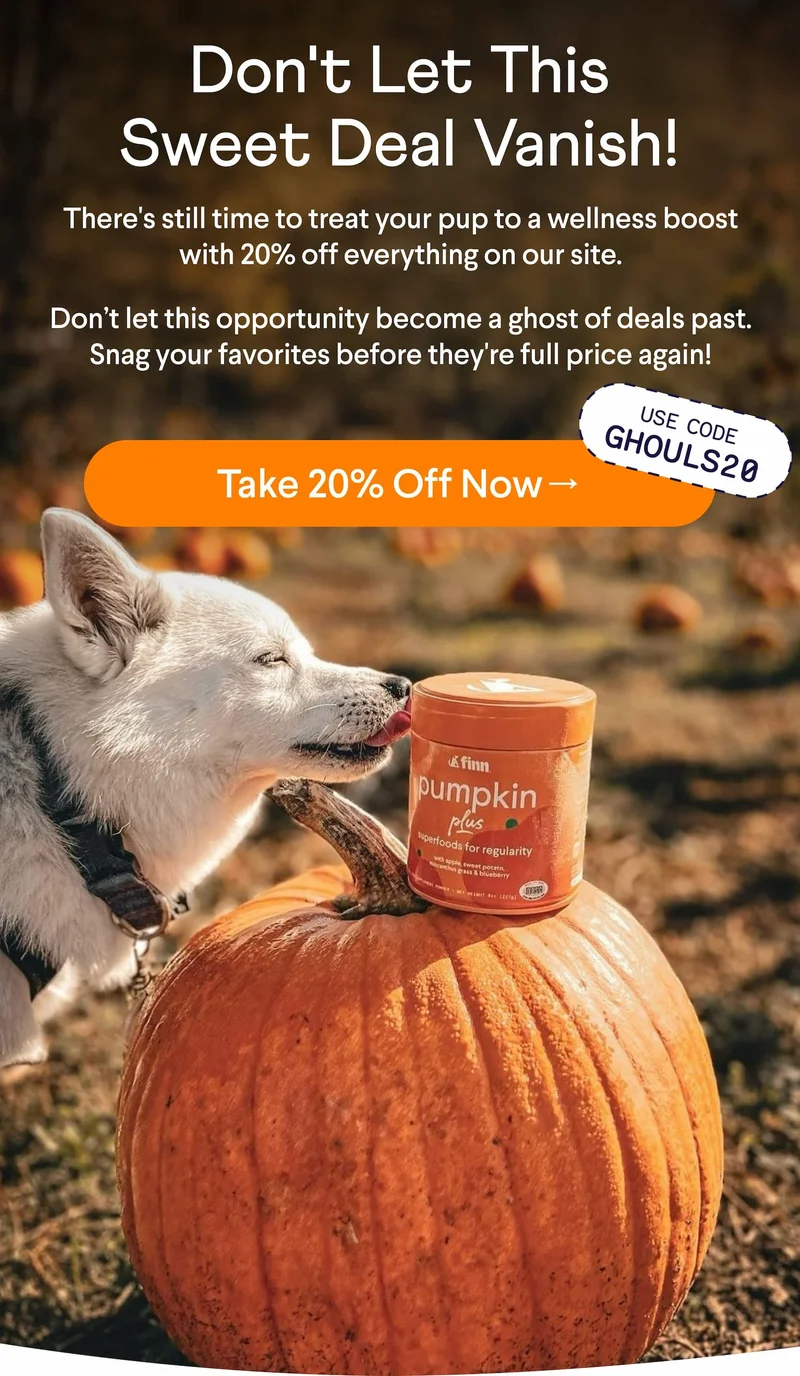 Text: Don't let this sweet deal vanish! There's still time to treat your pup to a wellness boost with 20% off everything on our site.  Don’t let this opportunity become a ghost of deals past. Snag your favorites before they're full price again!  CTA: Take 20% Off Now → Use Code GHOULS20