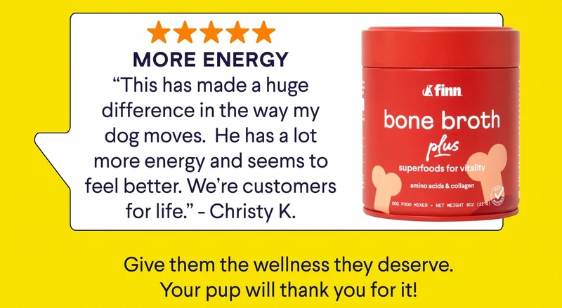 Text: 5 Star Bone Broth Plus Review – Title: MORE ENERGY “This has made a huge difference in the way my dog moves.&nbsp; He has a lot more energy and seems to feel better. We’re customers for life.” - Christy K. Give them the wellness they deserve. Your pup will thank you for it!