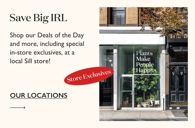 Save Big IRL: Shop our Deals of the Day and more, including special in-store exclusives, at a local Sill store. See our locations: