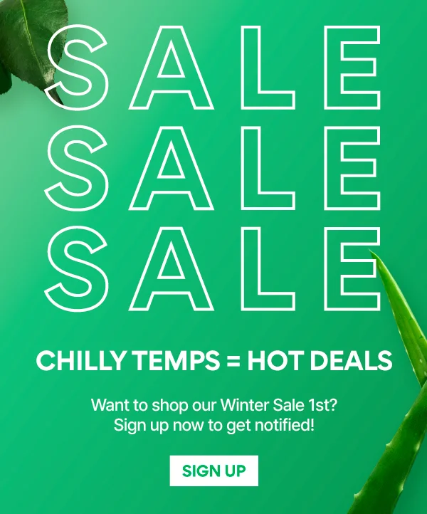 WINTER SALE EARLY ACCESS SIGN UP