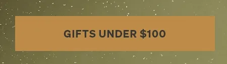Gifts under 100