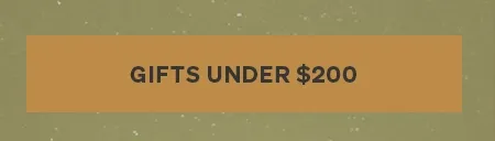 Gifts under 200