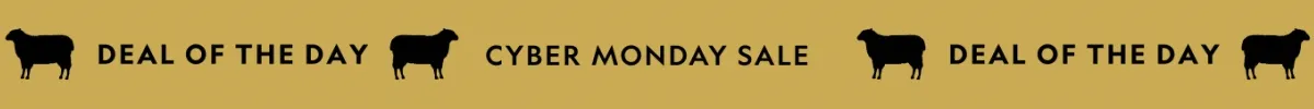 Cyber Monday Sale