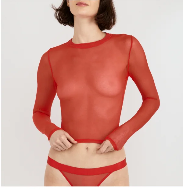 Mesh Tanga Briefs