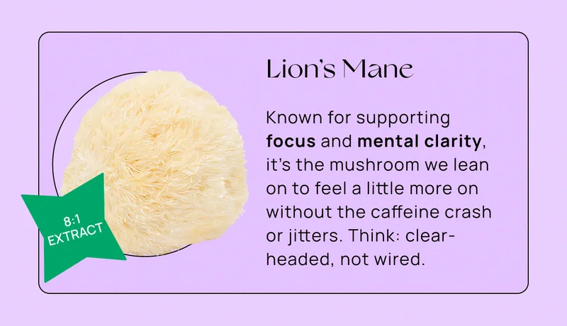 Lion’s Mane | Known for supporting  focus and mental clarity,  it’s the mushroom we lean  on to feel a little more on without the caffeine crash  or jitters. Think: clear-headed, not wired.