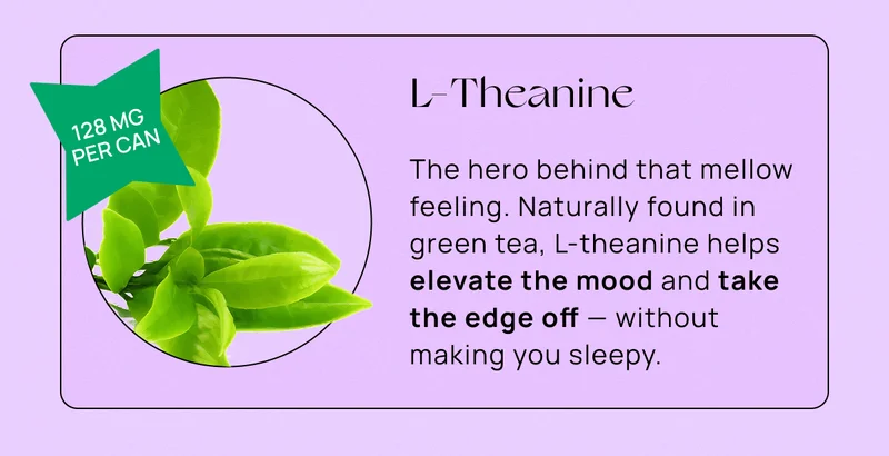 L-Theanine | The hero behind that mellow feeling. Naturally found in green tea, L-theanine helps elevate the mood and take the edge off — without making you sleepy.