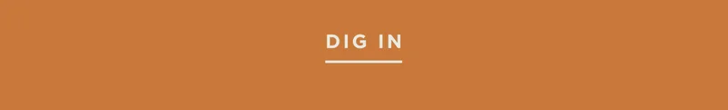 DIG IN