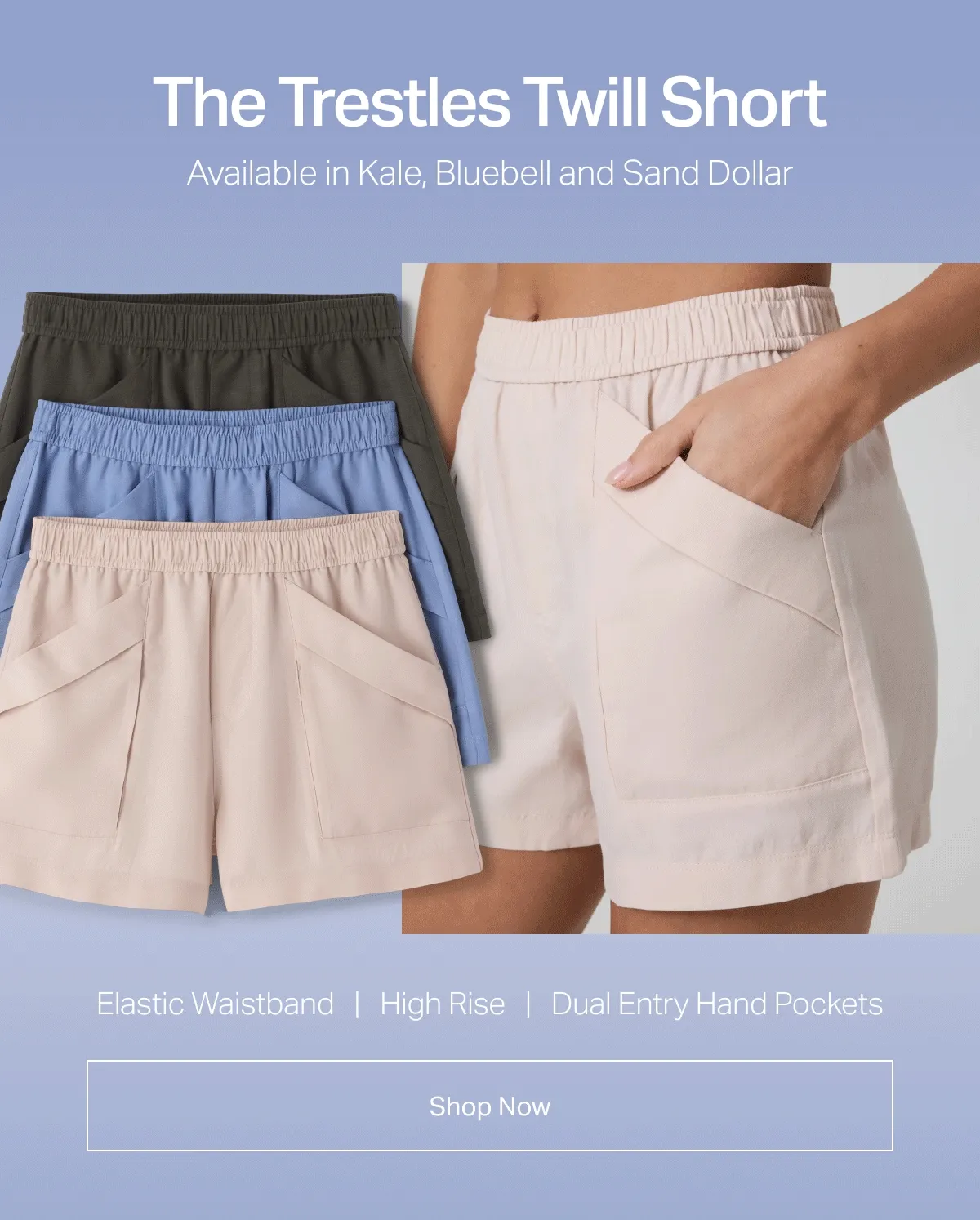 The Trestles Twill Short