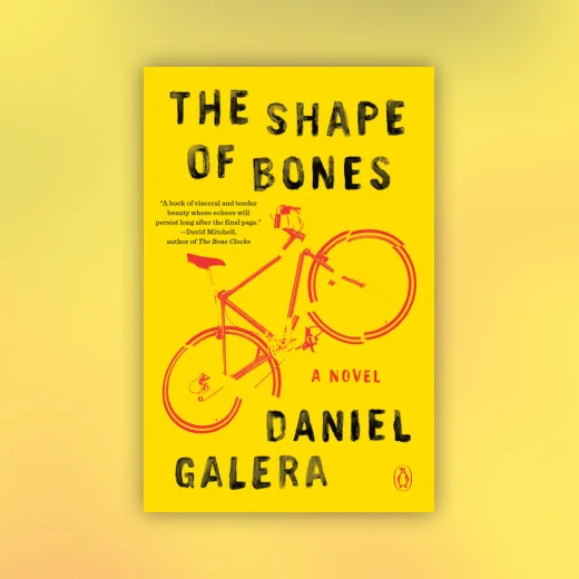 The Shape of Bones