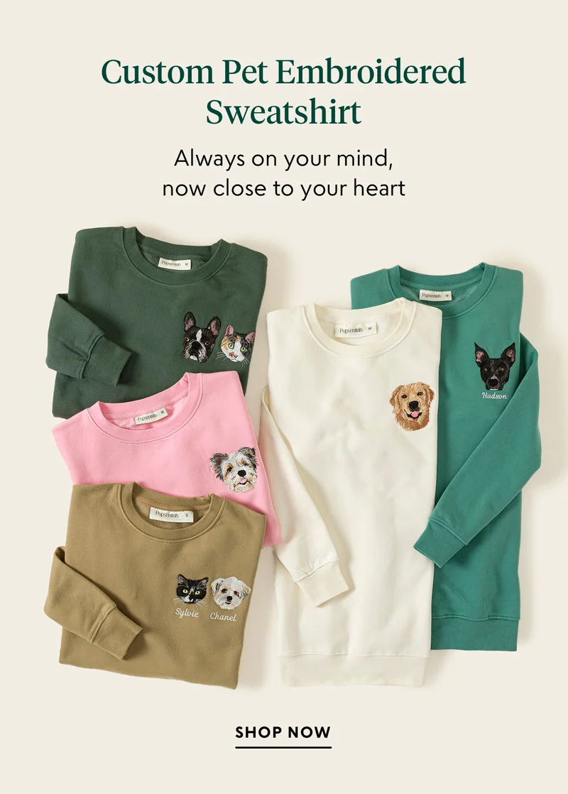 shop now