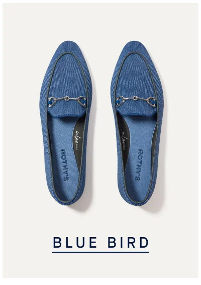 BLUE BIRD