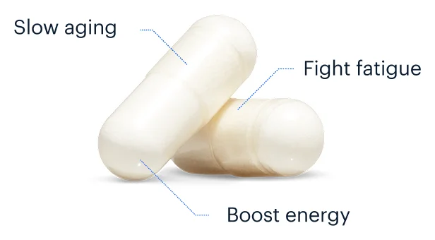 Slow aging | Fight fatigue | Boost energy