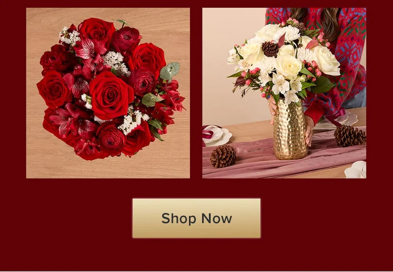 Featuring Cranberry and Snowcap Bouqs. Shop Flowers.