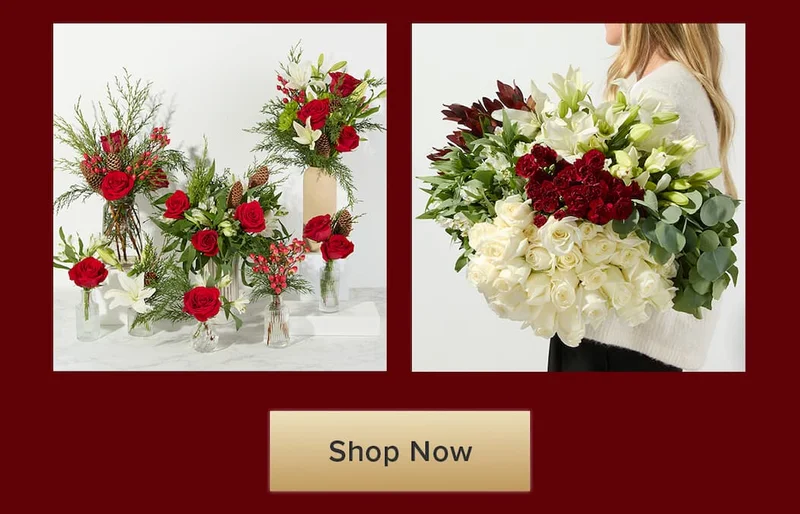 Featuring flowers from The Sleigh My Name DIY Flower Box & The Rudolph DIY Flower Box. Shop Bulk Flowers.