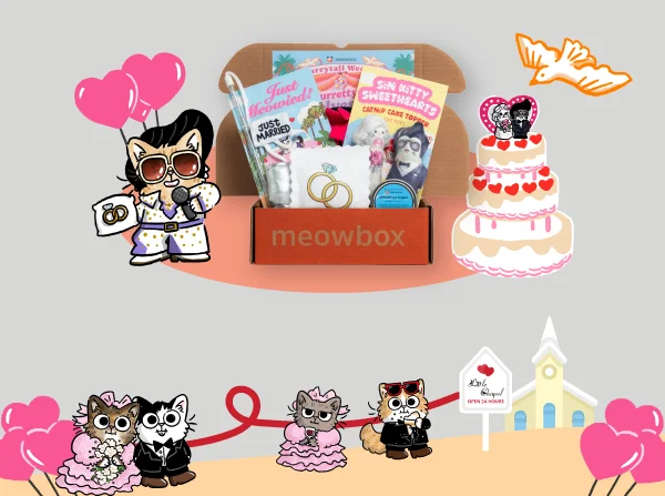Image of the Furrytail Wedding meowbox ((featuring toys like the Sin Kitty Sweethearts Cake Topper, 100% Wool You Marry Me, Purrty in Polyester Enrichment toys and more) with cat illustrations of a tacky wedding below