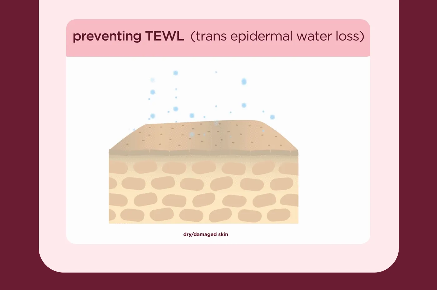 preventing TEWL