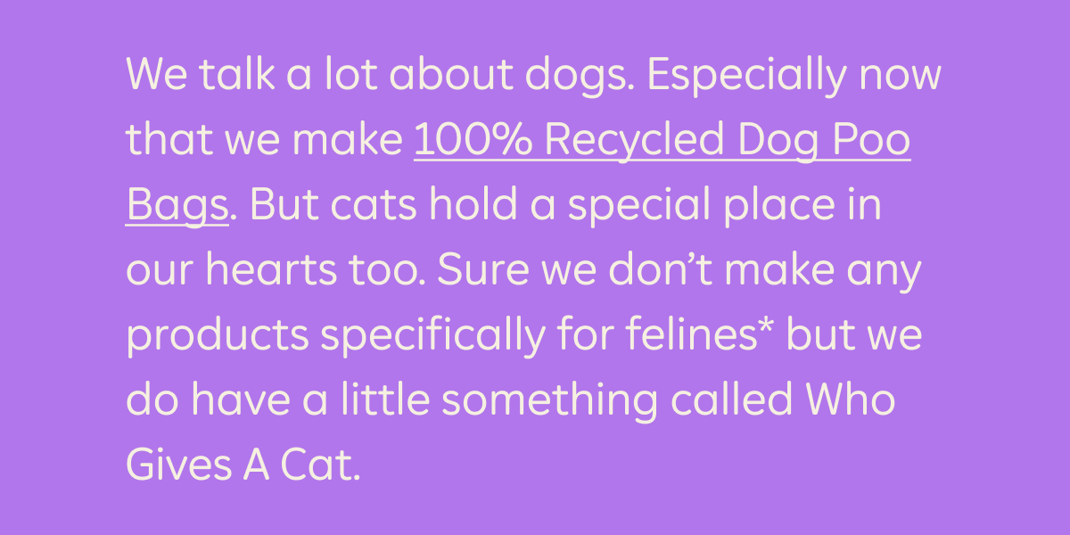 We talk a lot about dogs. Especially now that we make 100% Recycled Dog Poo Bags. But cats hold a special place in our hearts too. Sure we don't make any products specifically for felines* but we do have a little something called Who Gives A Cat.