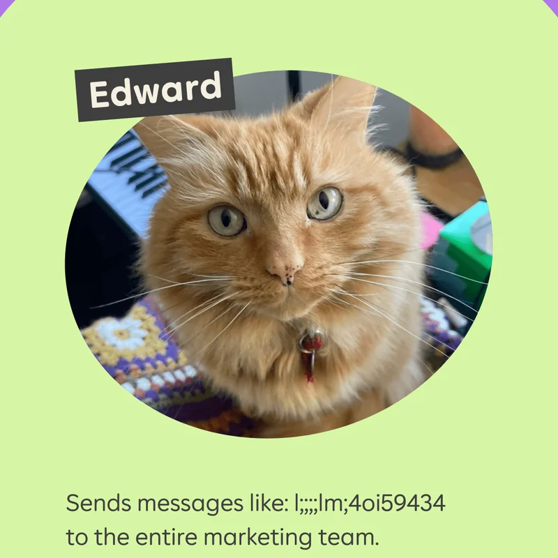 Edward  Sends messages like: l;;;;lm;4oi59434 to the entire marketing team.