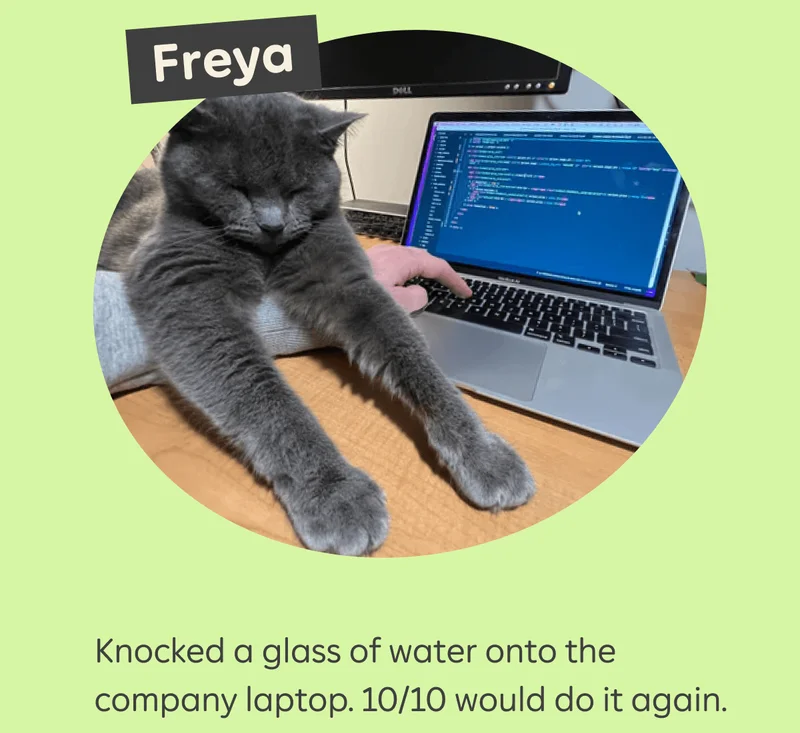 Freya  Knocked a glass of water onto the company laptop. 10/10 would do it again.