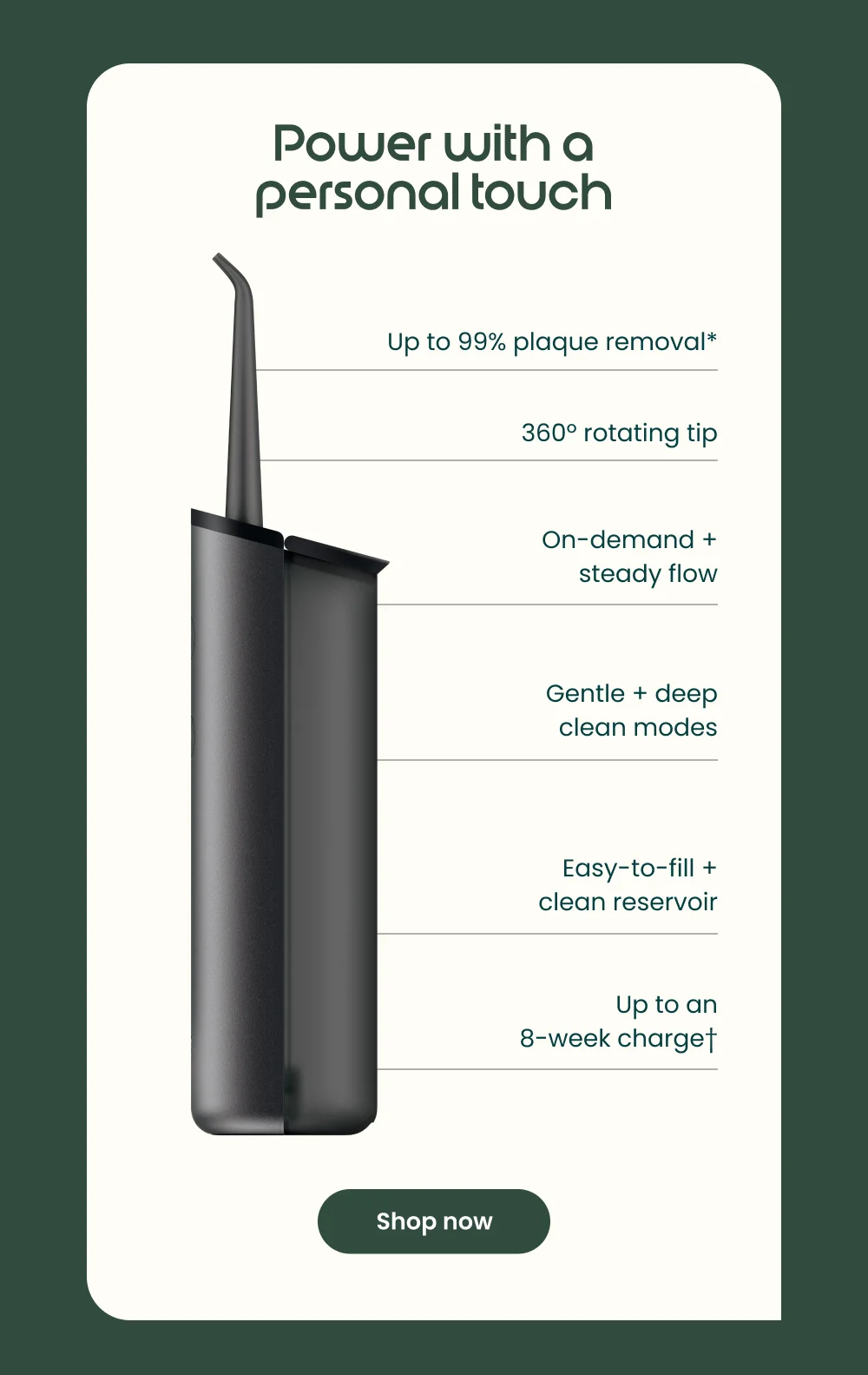 Water Flosser