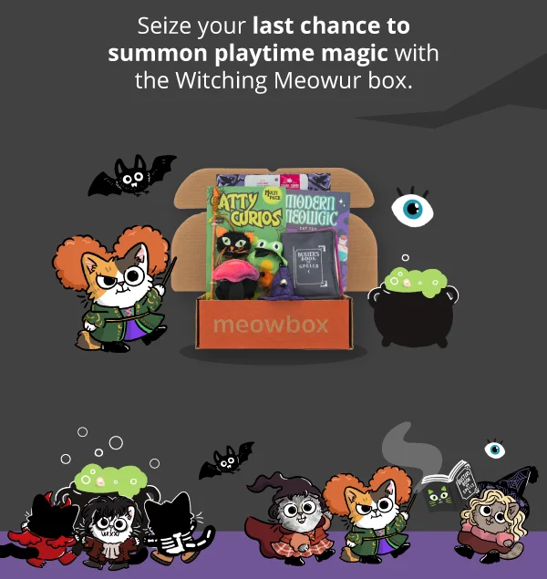 Seize your last chance to summon playtime magic with the Witching Meowur box. Image of the Witching Meowur meowbox (featuring toys like the Catty Curios Multi-pack Wand, Modern Meowgic Spell Book, Whiskered Witch Wearable Hat cat toys and more)