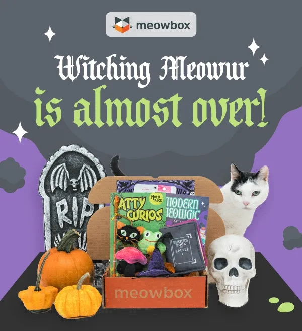 Witching Meowur is almost over! Animation of a white black spotted cat moving behind the Witching Meowur meowbox (featuring toys like the Catty Curios Multi-Pack Wand, Modern Meowgic Spell Book, The Whiskered Witch Witch's Hat toys and more) with Halloween promps in front (pumpkin, grave, skull)