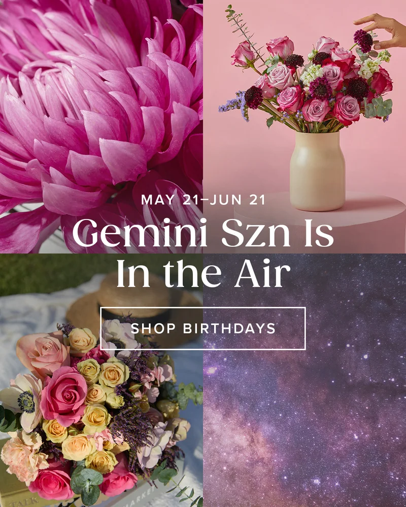 Gemini Szn (May 21-June 21) Is In the Air. Shop Birthdays.
