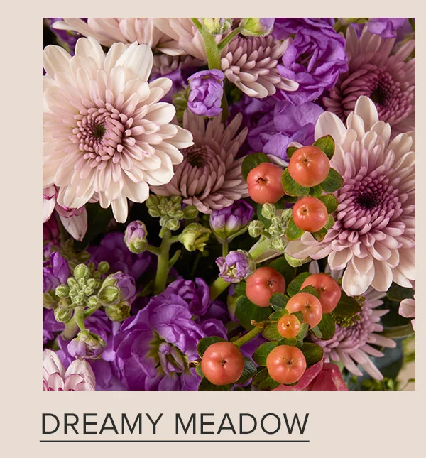 DREAMY MEADOW