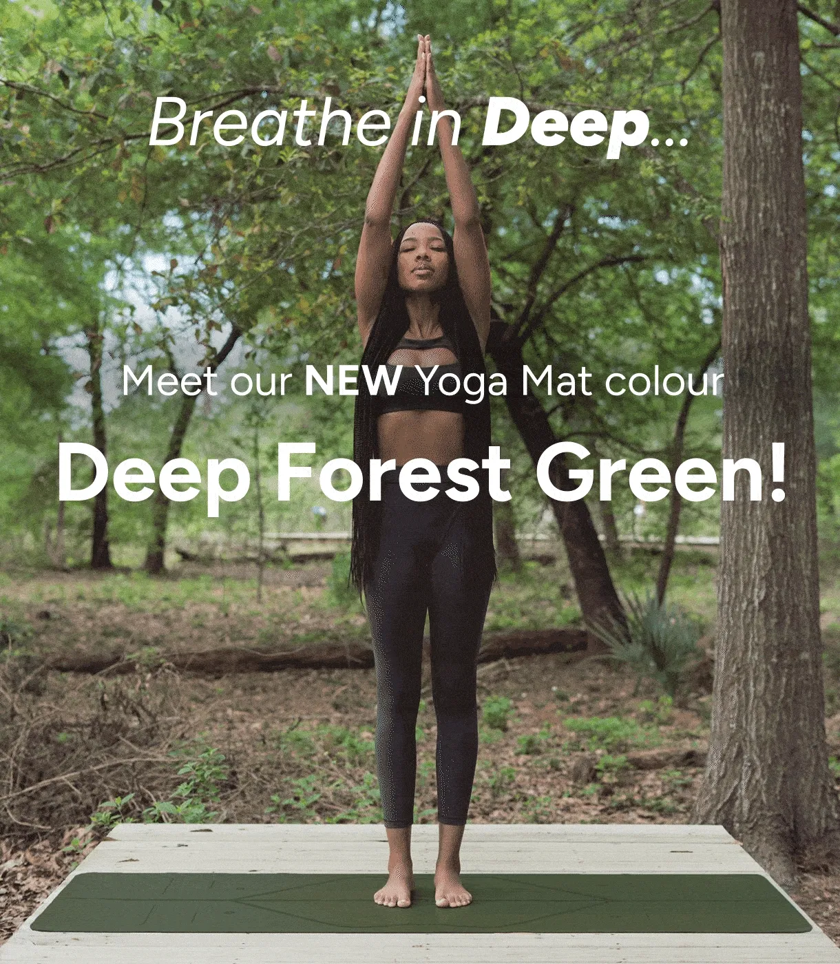 Deep Forest Green Launch