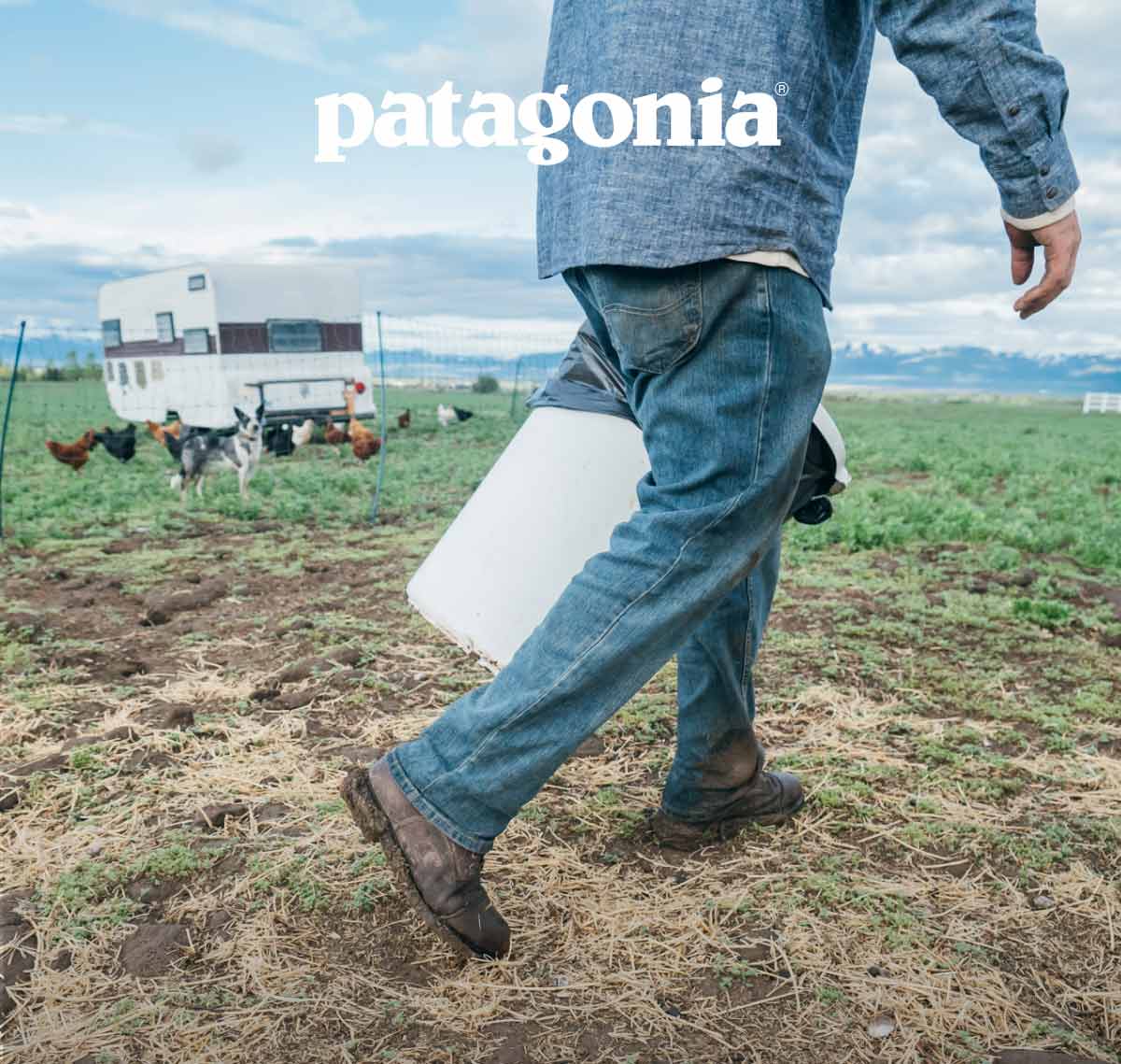 Patagonia. A person walking in a field near chickens and a dog.