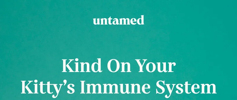 Kind on your kitty's immune system