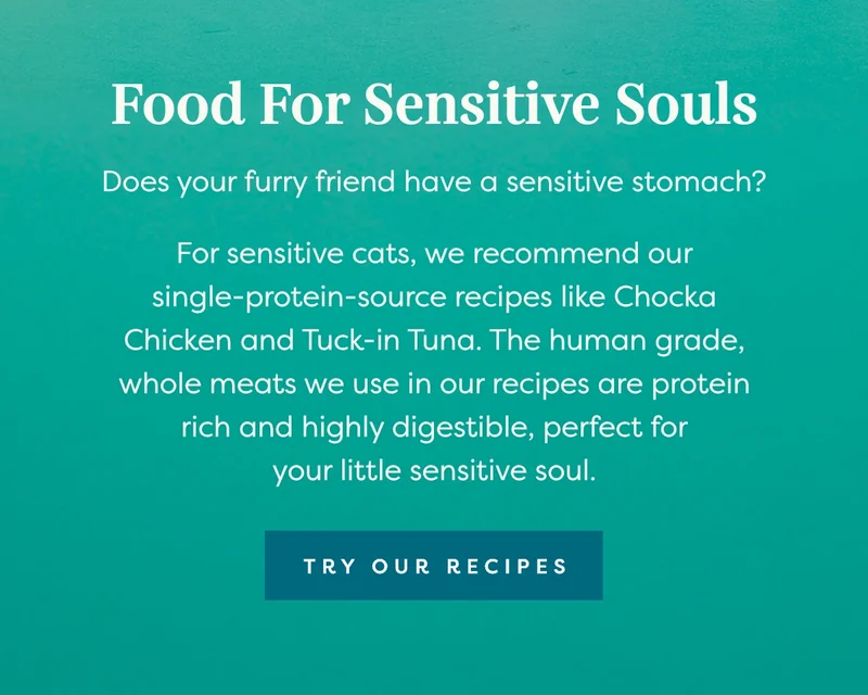 Try our recipes