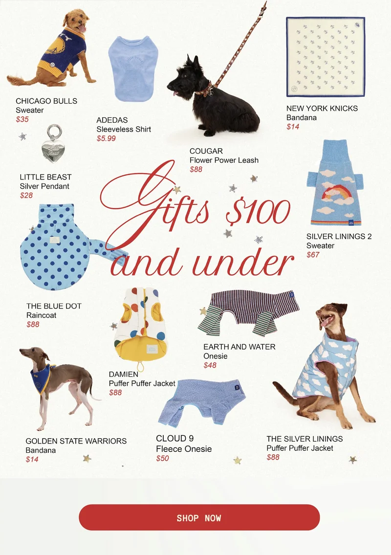 Gifts $100 and under