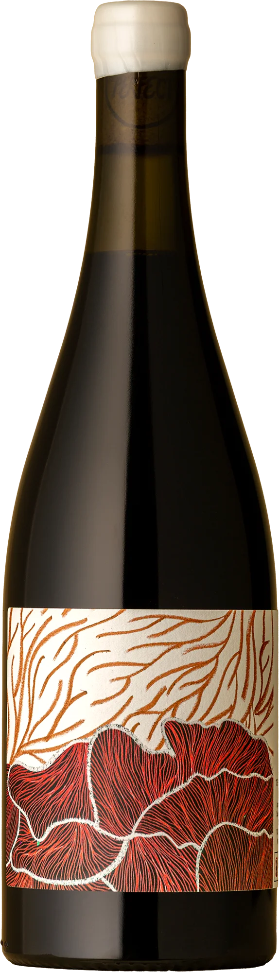 Image of Future Perfect <br> Shiraz 2024