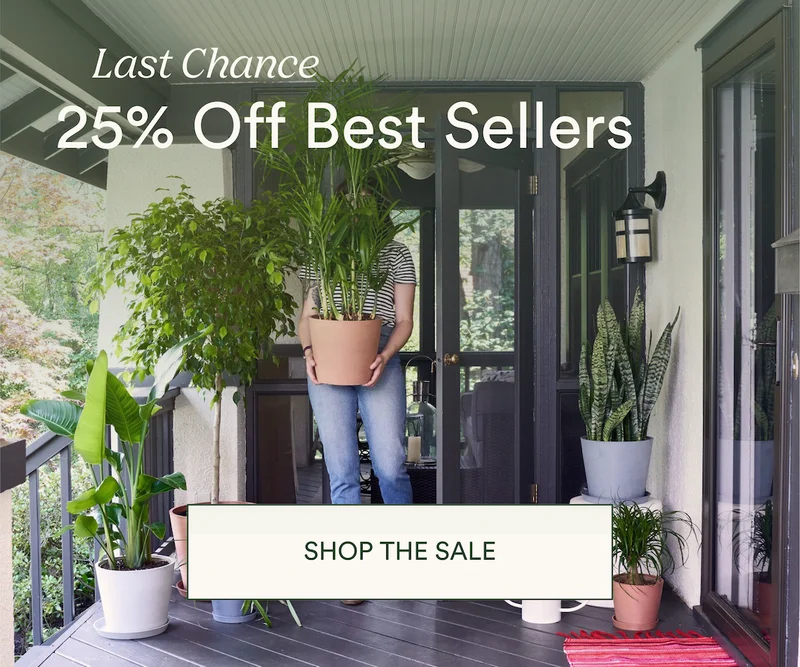 last chance to save