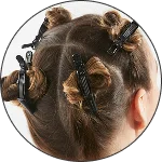 hair divided into 4 groups