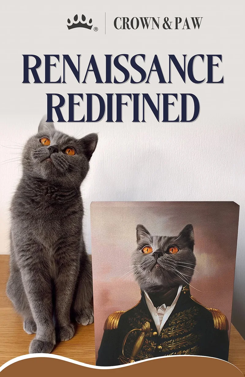 Renaissance Redefined