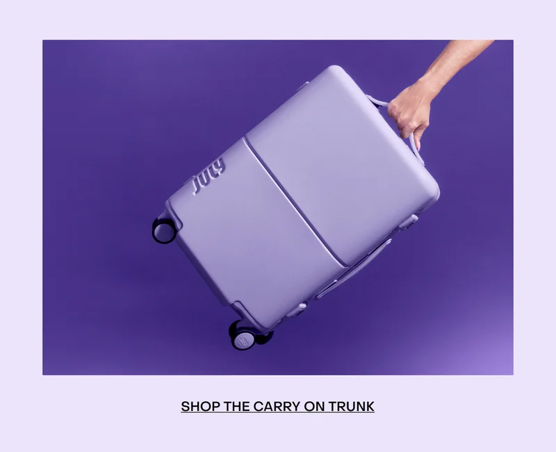 SHOP THE CARRY ON TRUNK