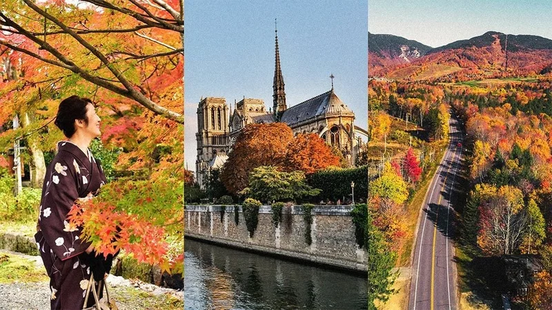 Image description: Three images of fall foliage around the world.
