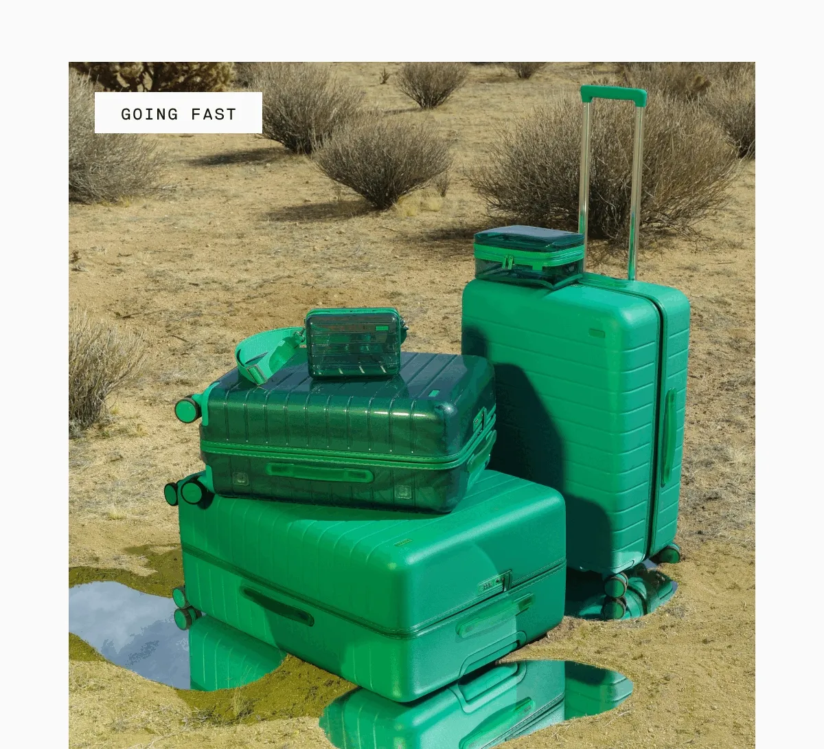 New Translucent Collection