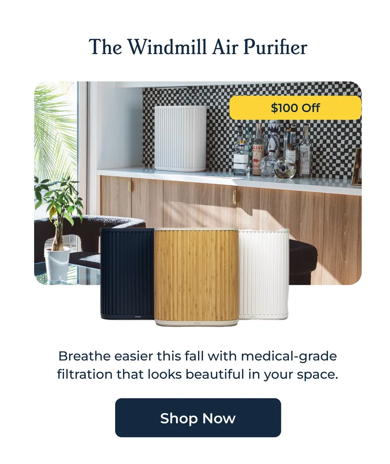 The Windmill Air Purifier