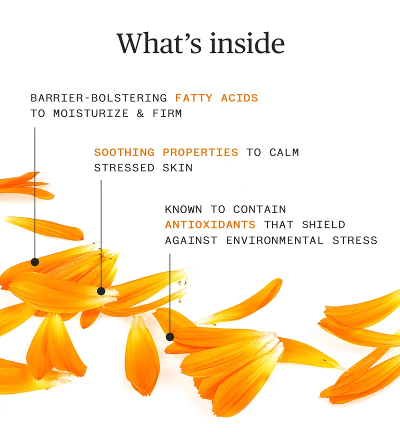 What's inside