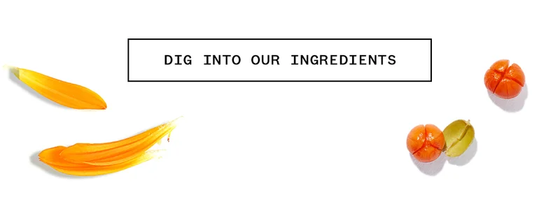 Dig into our ingredients