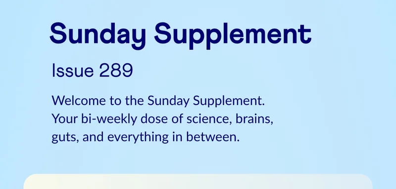 Sunday Supplement