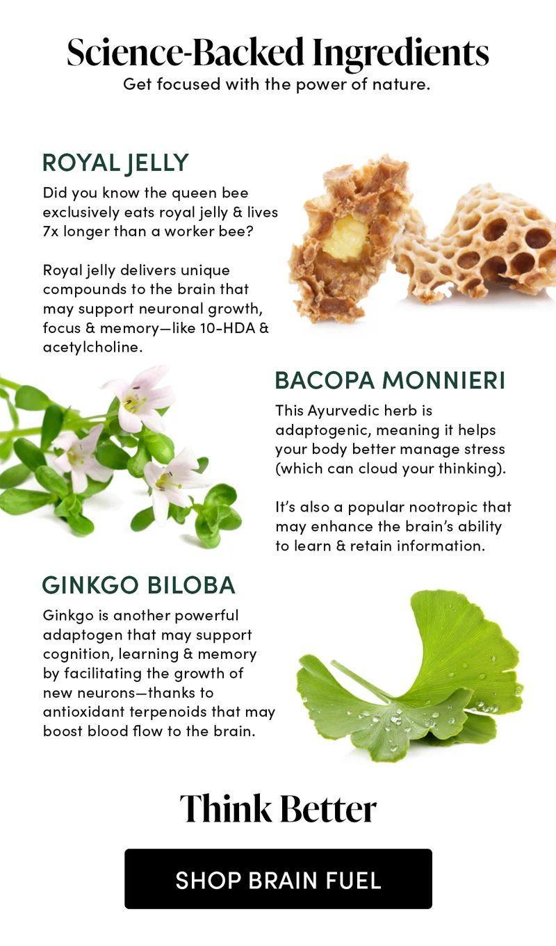 Science-Backed Ingredients      Get focused with the power of nature.    Royal Jelly          Did you know the queen bee exclusively eats royal jelly & lives 7x longer than a worker bee?   Royal jelly delivers unique compounds to the brain that may support neuronal growth, focus & memory—like 10-HDA & acetylcholine.           Bacopa Monnieri  This Ayurvedic herb is adaptogenic, meaning it helps your body better manage stress (which can cloud your thinking).   It’s also a popular nootropic that may enhance the brain’s ability to learn & retain information.              Ginkgo Biloba          Ginkgo is another powerful adaptogen that may support cognition, learning & memory health by facilitating the growth of new neurons—thanks to antioxidant terpenoids that may boost blood flow to the brain.